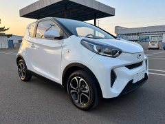 BYD Ant 200,000 Ant Fans Edition Vitality Version Ternary Lithium 408km - ფოტო 3