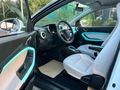 BYD Ant 200,000 Ant Fans Edition Vitality Version Ternary Lithium 408km - ფოტო 5