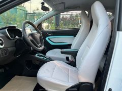 BYD Ant 200,000 Ant Fans Edition Vitality Version Ternary Lithium 408km - ფოტო 6