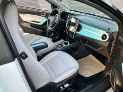 BYD Ant 200,000 Ant Fans Edition Vitality Version Ternary Lithium 408km - ფოტო 9