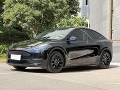 Tesla Model Y 2023 Long Range All-Wheel Drive - ფოტო 1