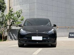 Tesla Model Y 2023 Long Range All-Wheel Drive - ფოტო 2