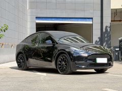 Tesla Model Y 2023 Long Range All-Wheel Drive - ფოტო 3