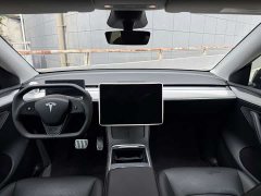 Tesla Model Y 2023 Long Range All-Wheel Drive - ფოტო 8