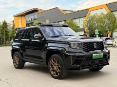 Tank 700 New Energy Hi4-T Ultimate Edition - ფოტო 13