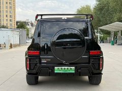Tank 700 New Energy Hi4-T Ultimate Edition - ფოტო 8