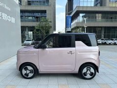 Geely Panda Mini 200km Agile Panda - ფოტო 3