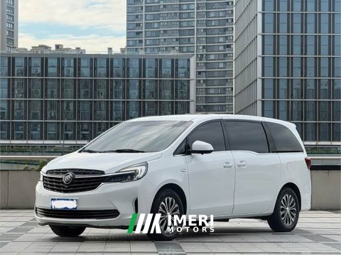 2021 Buick GL8 Land Business Class 652T Comfort - ავტომობილი ჩინეთიდან