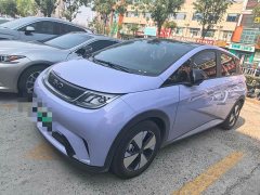 BYD Dolphin 420km Fashion Edition - ფოტო 1