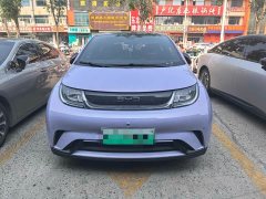 BYD Dolphin 420km Fashion Edition - ფოტო 2
