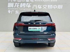 Great Wall WEY Blue Mountain 2023 Four-Wheel Drive Extended Range Version - ფოტო 5