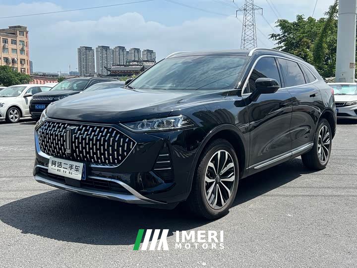 Lynk & Co Wei brand Mocha 2.0T two-wheel drive special edition
