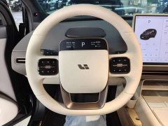 Li Auto i6 Two-Wheel Drive Standard - ფოტო 15