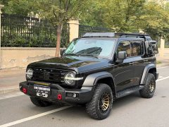 Tank 300 Off-Road Edition 2.0T Conqueror - ფოტო 1