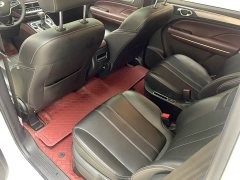 GAC Aion M6 2021 PRO 270T Automatic Luxury - ფოტო 12