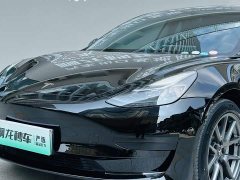 Tesla Model 3 2022 Rear-Wheel Drive - ფოტო 18