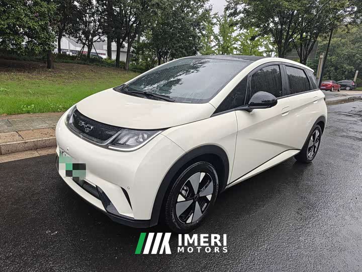 BYD Dolphin 420km Fashion Edition - ავტომობილი ჩინეთიდან