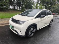 BYD Dolphin 420km Fashion Edition - ფოტო 1