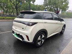 BYD Dolphin 420km Fashion Edition - ფოტო 5