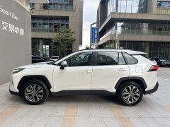 Toyota RAV4 2.0L CVT FWD 20th Anniversary Platinum Edition - ფოტო 3
