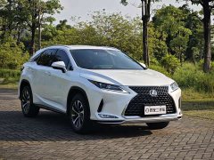 Lexus RX 2020 Facelift 300 FWD Elite - ფოტო 3