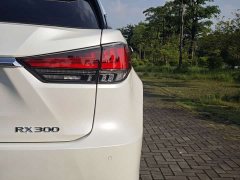 Lexus RX 2020 Facelift 300 FWD Elite - ფოტო 9