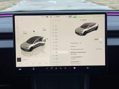 Tesla Model 3 2023 Rear-Wheel Drive - ფოტო 11