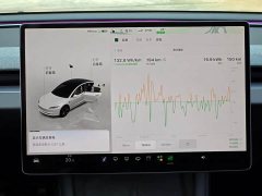 Tesla Model 3 Rear-Wheel Drive - ფოტო 10