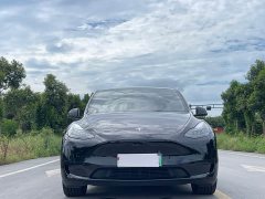 Tesla Model Y Rear-Wheel Drive - ფოტო 2