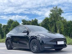 Tesla Model Y Rear-Wheel Drive - ფოტო 3