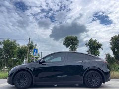Tesla Model Y Rear-Wheel Drive - ფოტო 4
