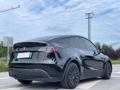 Tesla Model Y Rear-Wheel Drive - ფოტო 7