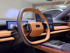 Geely Galaxy Xingyao 8 130km EM-i Premium Edition - ფოტო 13