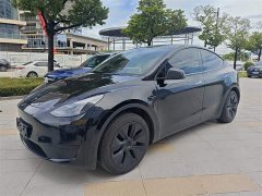 Tesla Model Y 2023 Rear-Wheel Drive - ფოტო 1