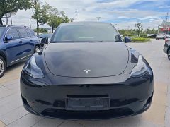 Tesla Model Y 2023 Rear-Wheel Drive - ფოტო 5