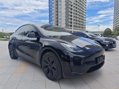 Tesla Model Y 2023 Rear-Wheel Drive - ფოტო 9