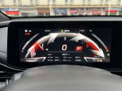 Trumpchi Leopard 400T Automatic R MAX - ფოტო 19