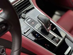 Porsche Panamera New Energy Facelift Panamera 4 E-Hybrid Platinum Edition 2.9T - ფოტო 12
