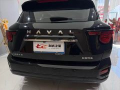 Haval Big Dog PLUS 2.0T Two-Wheel Drive Trendy Wilderness Edition Plus - ფოტო 10