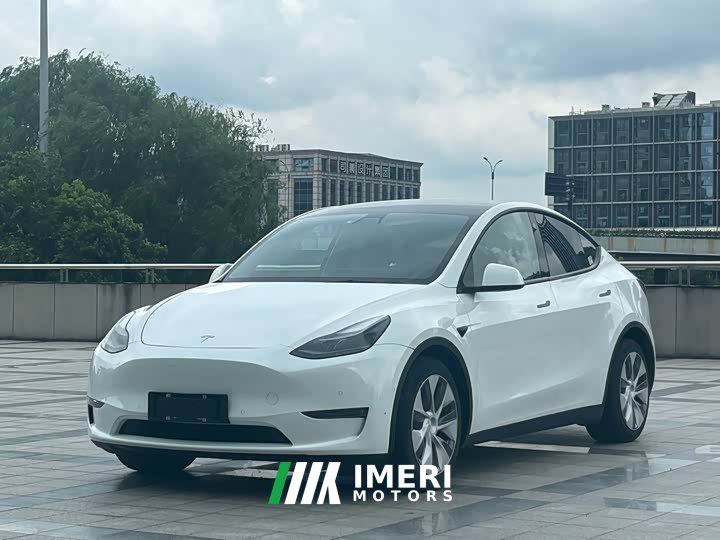 Tesla Model Y 2021 Standard Range RWD - ავტომობილი ჩინეთიდან