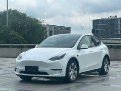 Tesla Model Y 2021 Standard Range RWD - ფოტო 1