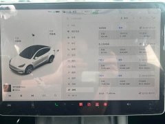 Tesla Model Y 2021 Standard Range RWD - ფოტო 12