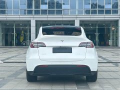 Tesla Model Y 2021 Standard Range RWD - ფოტო 6