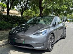 Tesla Model Y 2022 Performance All-Wheel Drive - ფოტო 1