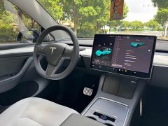 Tesla Model Y 2022 Performance All-Wheel Drive - ფოტო 13