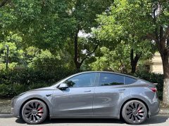 Tesla Model Y 2022 Performance All-Wheel Drive - ფოტო 3