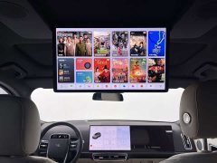 Li Auto L9 2022 Max - ფოტო 14