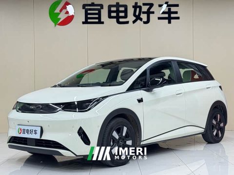 2025 BYD Dolphin Smart Drive 410km Fashion Edition - ავტომობილი ჩინეთიდან