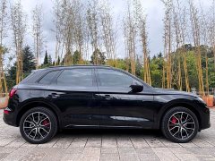 Audi Q5L 45T Luxury Dynamic - ფოტო 7