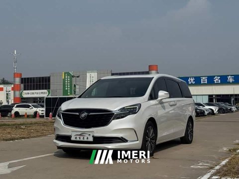 2021 Buick GL8 ES Land Respect 653T Luxury - ავტომობილი ჩინეთიდან